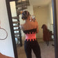 Women Waist Support Adjustable Waist Trainer